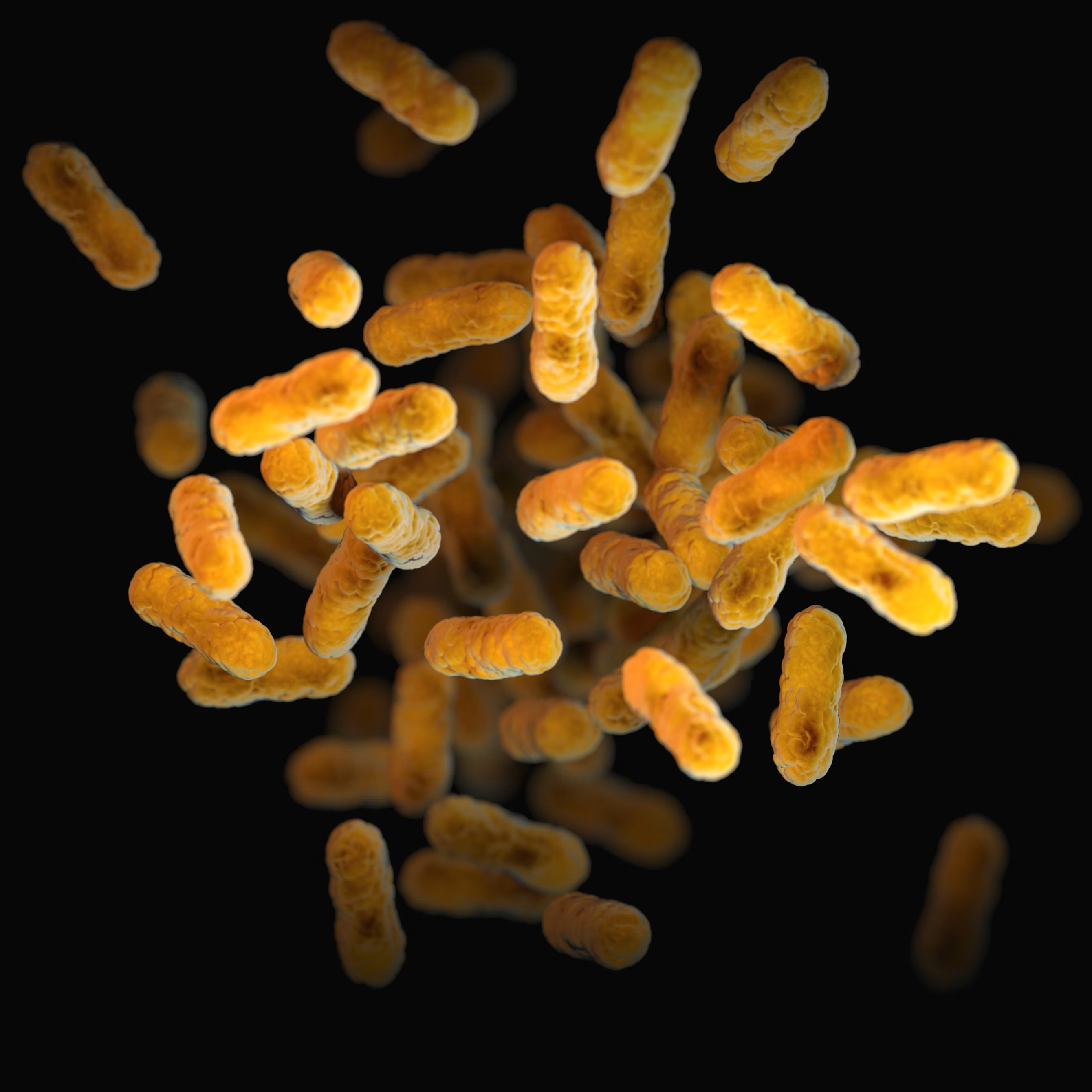 Lentiviral Production Products