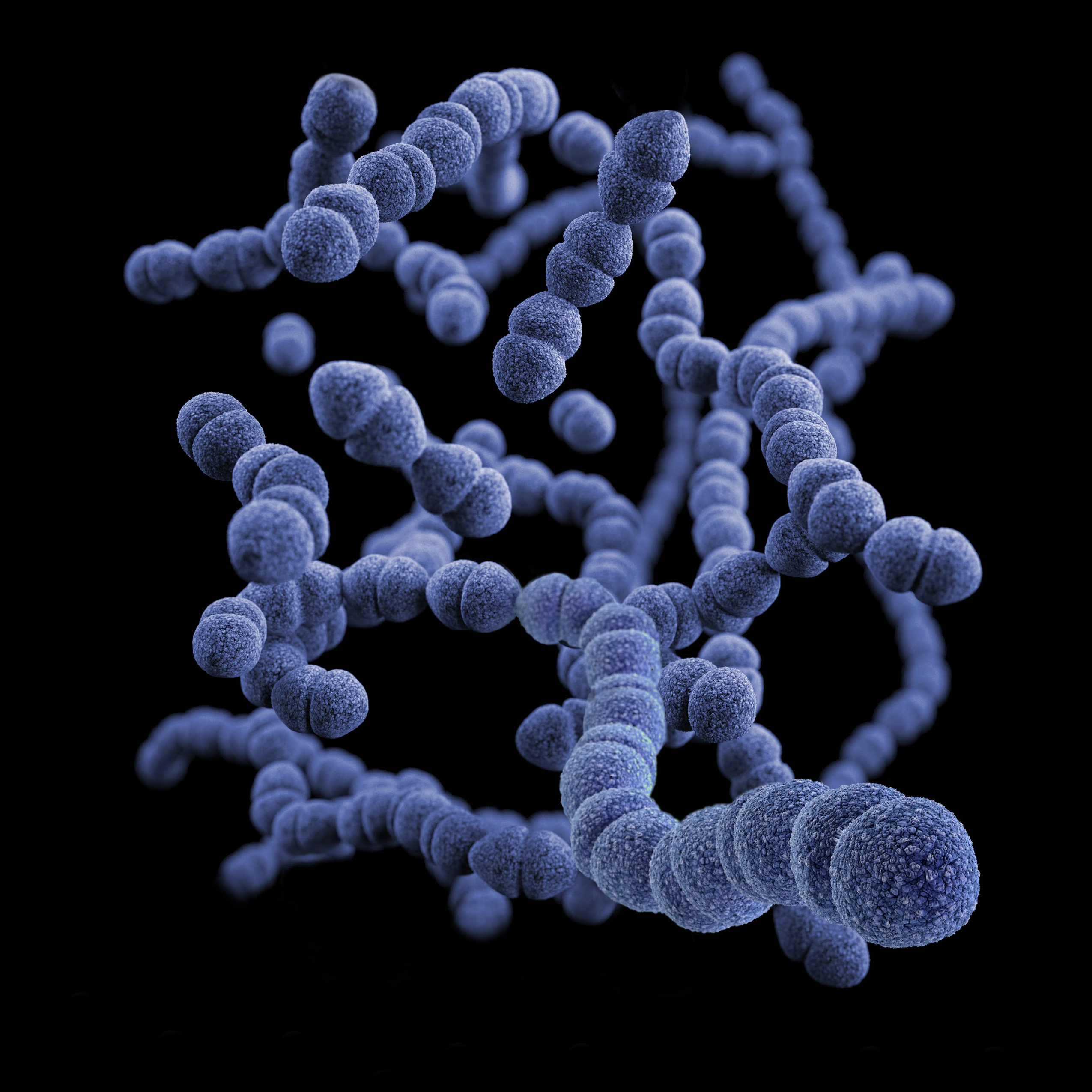 Vaccine & Antibody Products