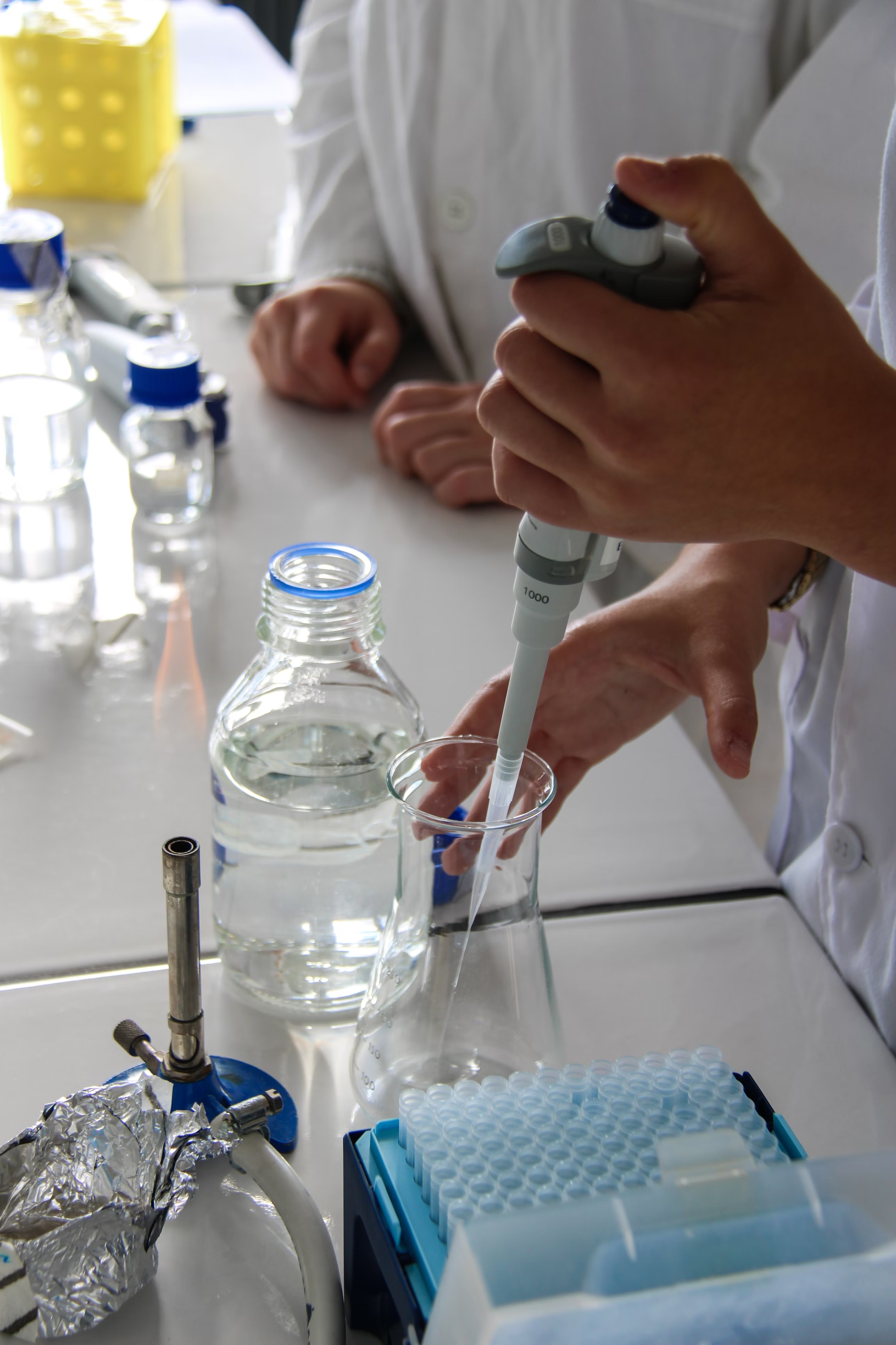 qPCR