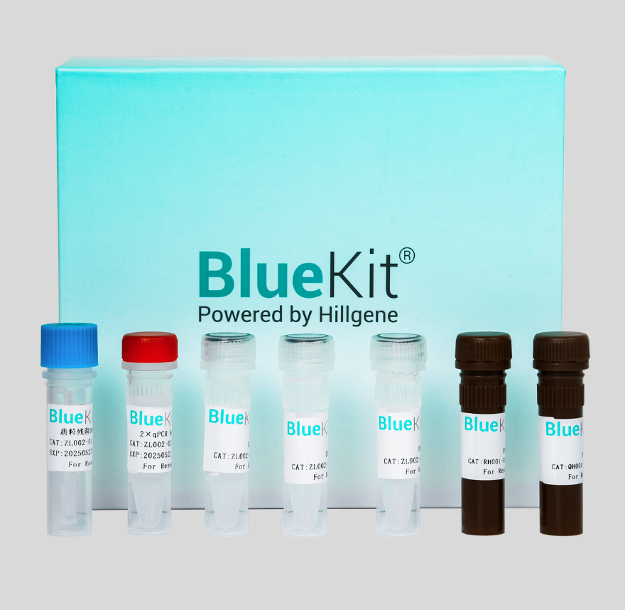 Residual K562 feeder cell Detection Kit
