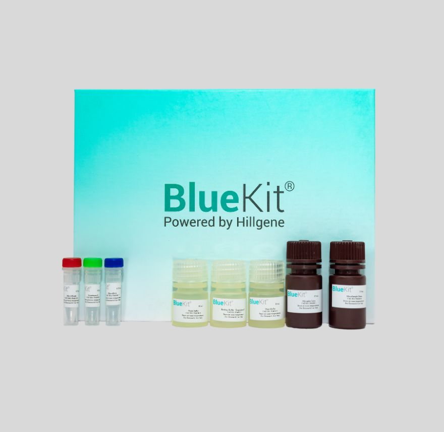 E1A&SV40LTA Residual DNA Detection Kit (Multiplex qPCR)